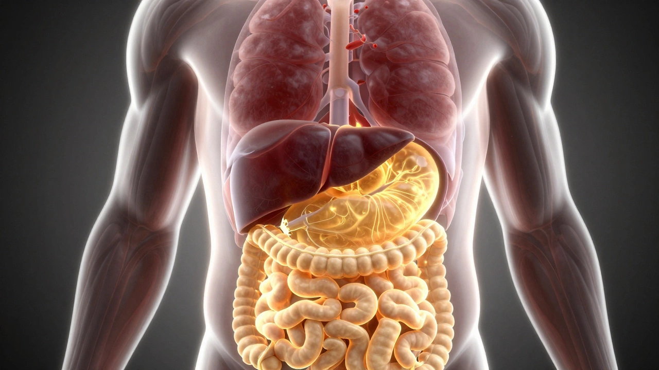 Что помогает сжигать жир на животе? Эффективные методы и добавки