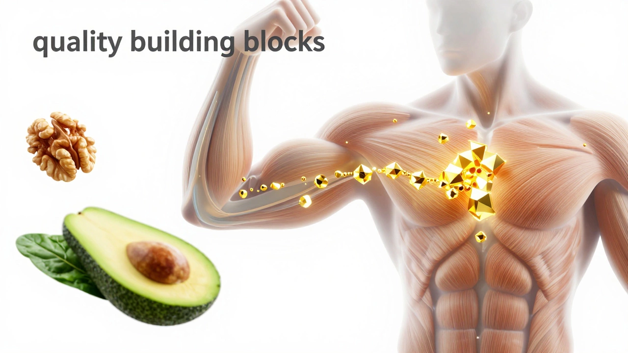 Концептуальное изображение синтеза мышц из полезных микроэлементов и продуктов